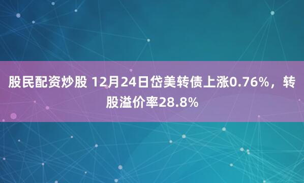 股民配资炒股 12月24日岱美转债上涨0.76%，转股溢价率28.8%