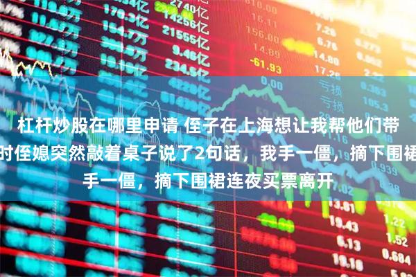 杠杆炒股在哪里申请 侄子在上海想让我帮他们带娃做饭，吃饭时侄媳突然敲着桌子说了2句话，我手一僵，摘下围裙连夜买票离开